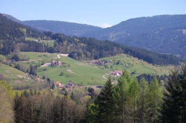 Ferienhof Fischer Seebach Buitenkant foto