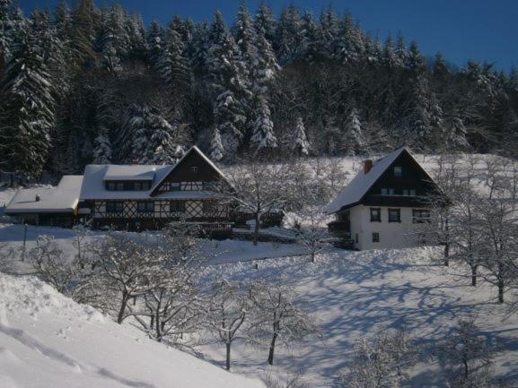 Ferienhof Fischer Seebach Buitenkant foto