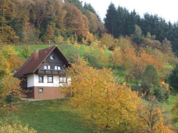 Ferienhof Fischer Seebach Buitenkant foto