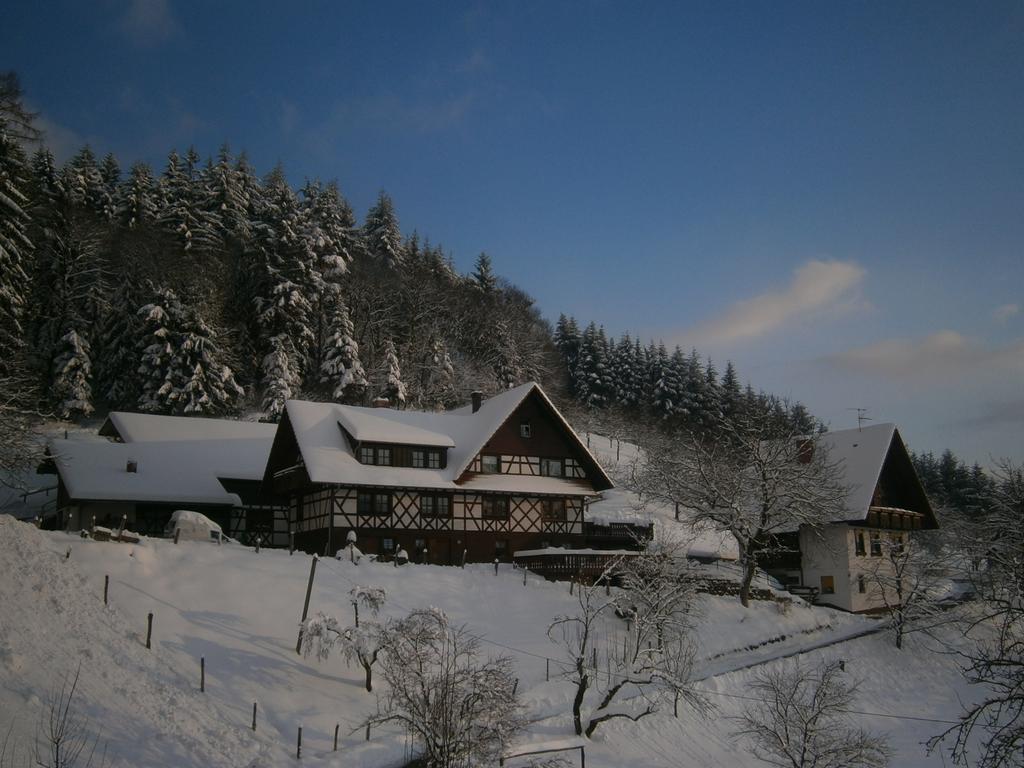 Ferienhof Fischer Seebach Buitenkant foto