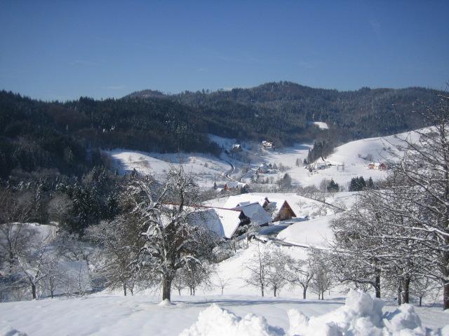 Ferienhof Fischer Seebach Buitenkant foto