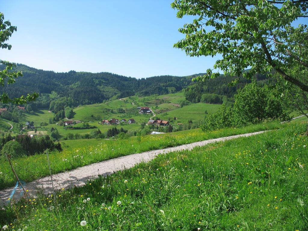 Ferienhof Fischer Seebach Buitenkant foto