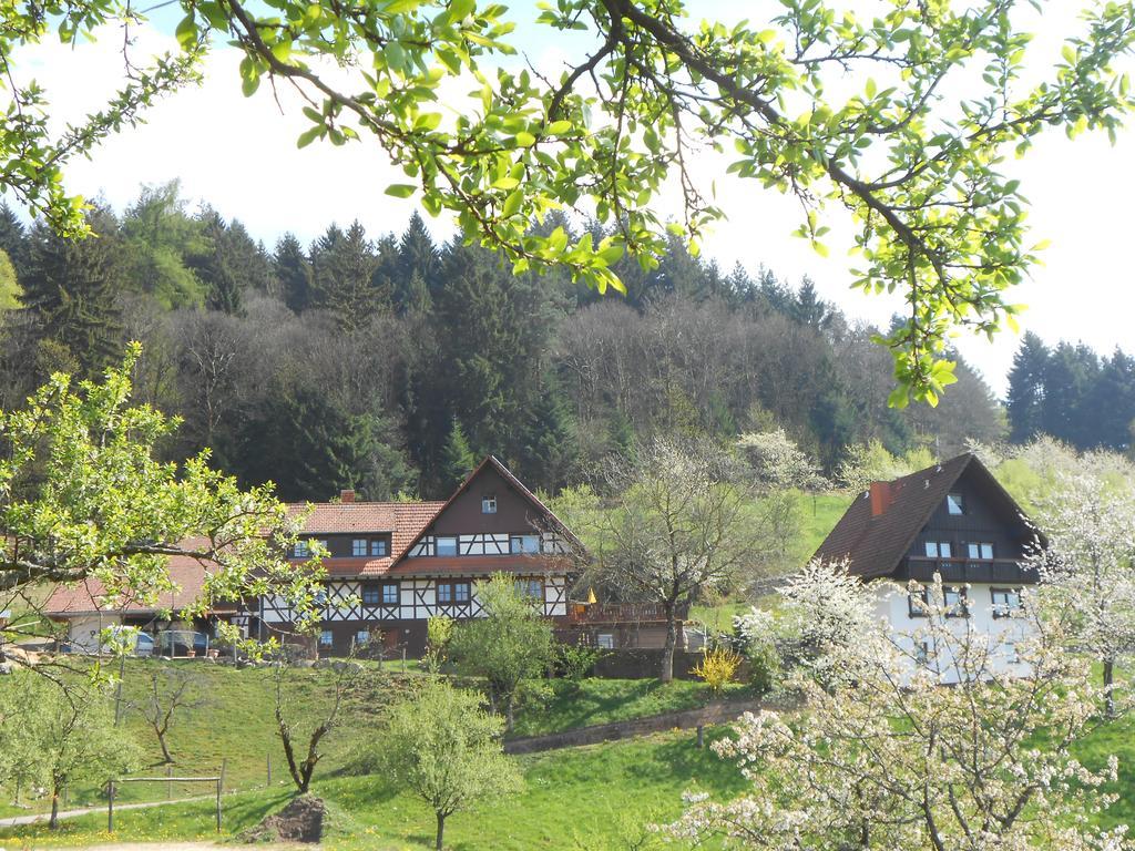 Ferienhof Fischer Seebach Buitenkant foto